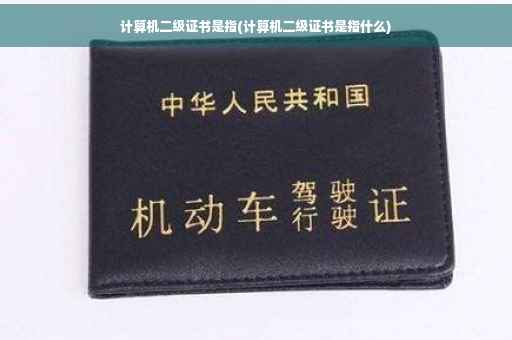 计算机二级证书是指(计算机二级证书是指什么)