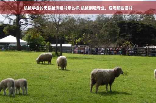 机械学会的无损检测证书怎么样,机械制造专业，应考那些证书