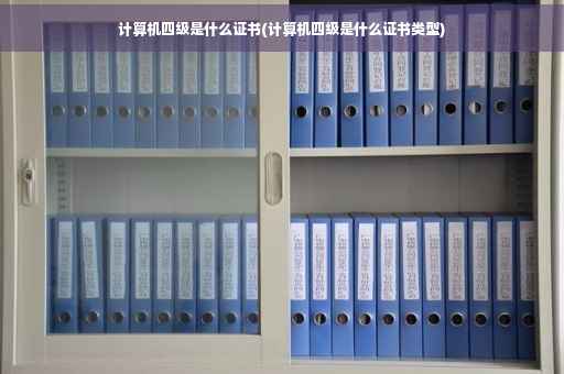 计算机四级是什么证书(计算机四级是什么证书类型)