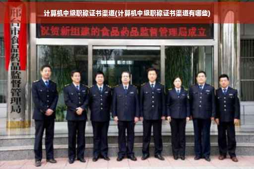 计算机中级职称证书渠道(计算机中级职称证书渠道有哪些)