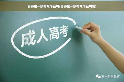 计算机一级有几个证书(计算机一级有几个证书啊)