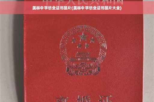 美林中学毕业证书图片(美林中学毕业证书图片大全)