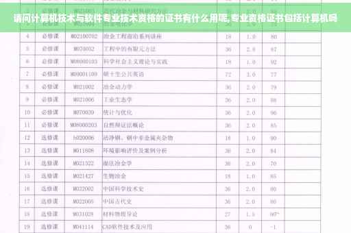 请问计算机技术与软件专业技术资格的证书有什么用呢,专业资格证书包括计算机吗