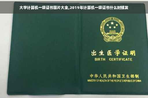 大学计算机一级证书图片大全,2019年计算机一级证书什么时候发