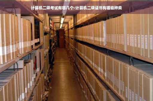 计算机二级考试有哪几个-计算机二级证书有哪些种类