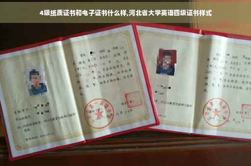 4级纸质证书和电子证书什么样,河北省大学英语四级证书样式