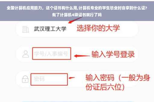 全国计算机应用能力，这个证书有什么用,计算机专业的学生毕业时会拿到什么证?有了计算机4级证书就行了吗
