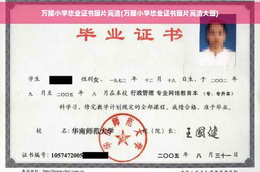 万隆小学毕业证书图片高清(万隆小学毕业证书图片高清大图)