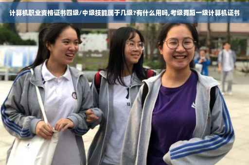 计算机职业资格证书四级/中级技能属于几级?有什么用吗,考级舞蹈一级计算机证书