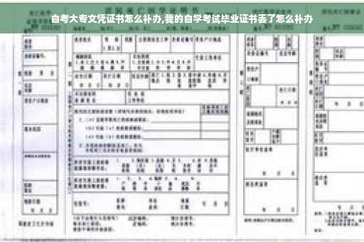 自考大专文凭证书怎么补办,我的自学考试毕业证书丢了怎么补办