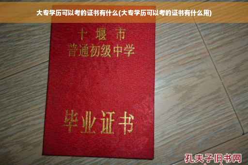 大专学历可以考的证书有什么(大专学历可以考的证书有什么用)