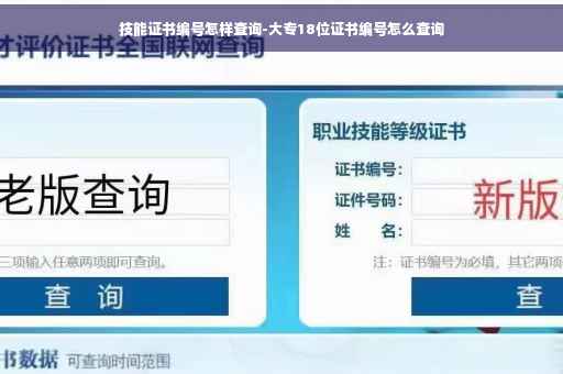 技能证书编号怎样查询-大专18位证书编号怎么查询