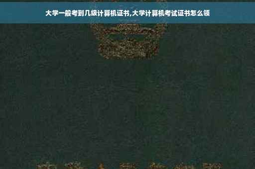 大学一般考到几级计算机证书,大学计算机考试证书怎么领