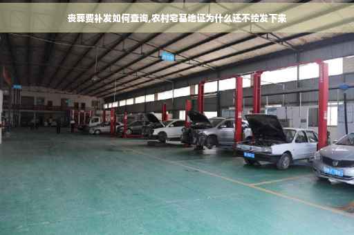 丧葬费补发如何查询,农村宅基地证为什么还不给发下来