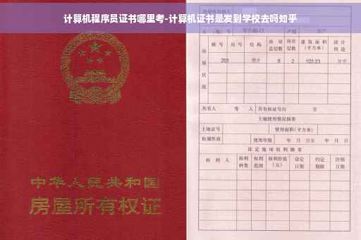 计算机程序员证书哪里考-计算机证书是发到学校去吗知乎
