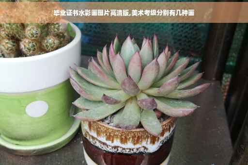 毕业证书水彩画图片高清版,美术考级分别有几种画