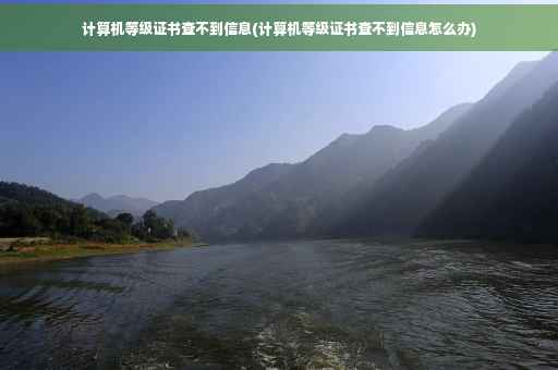 计算机等级证书查不到信息(计算机等级证书查不到信息怎么办)