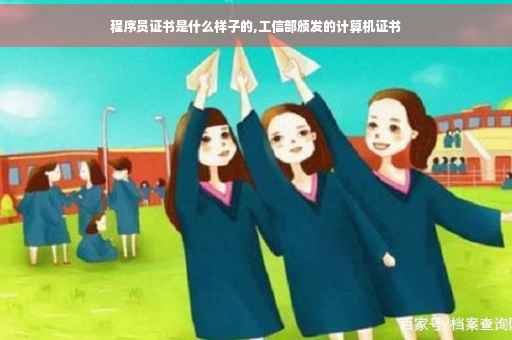 程序员证书是什么样子的,工信部颁发的计算机证书