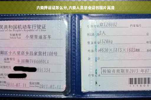 六类押运证怎么分,六类人员毕业证书图片高清