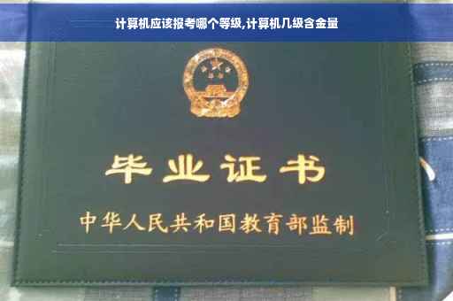 计算机应该报考哪个等级,计算机几级含金量