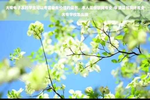 大专电子系的学生可以考哪些有价值的证书，本人是物联网专业-申请证书设计专业大专学校怎么填