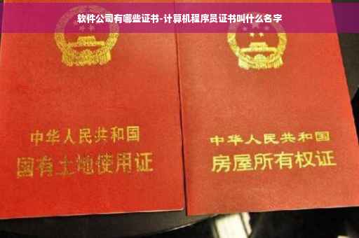 软件公司有哪些证书-计算机程序员证书叫什么名字