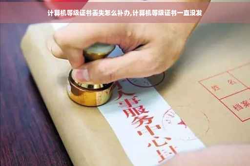 计算机等级证书丢失怎么补办,计算机等级证书一直没发