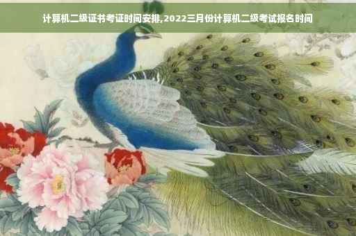 计算机二级证书考证时间安排,2022三月份计算机二级考试报名时间