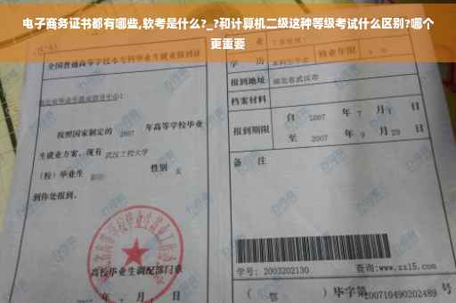 电子商务证书都有哪些,软考是什么?_?和计算机二级这种等级考试什么区别?哪个更重要