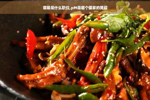 首脑是什么职位,pM是哪个国家的简称