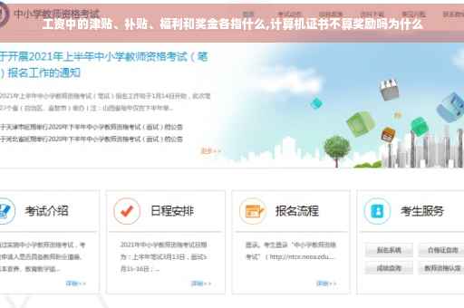 工资中的津贴、补贴、福利和奖金各指什么,计算机证书不算奖励吗为什么