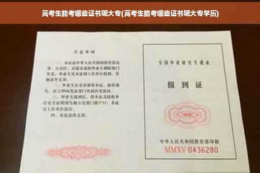 高考生能考哪些证书呢大专(高考生能考哪些证书呢大专学历)