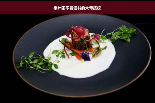 惠州市不要证书的大专技校
