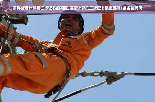 怎样鉴定计算机二级证书的真假,国家计算机二级证书很重要吗?含金量高吗