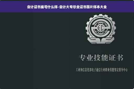 会计证书编号什么样-会计大专毕业证书图片样本大全