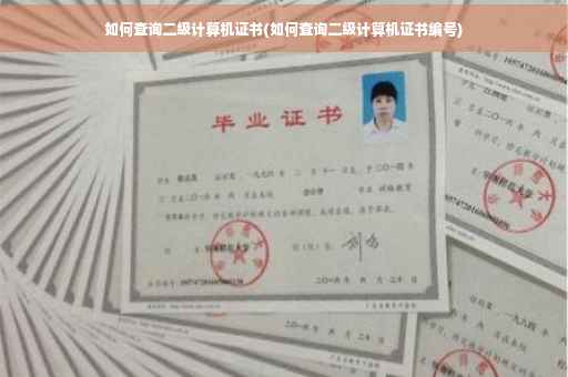 如何查询二级计算机证书(如何查询二级计算机证书编号)