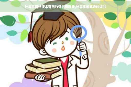 计算机网络技术有用的证书有哪些,计算机最吃香的证书