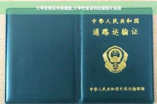 大学资格证书有哪些,大学毕业证书绘画图片高清