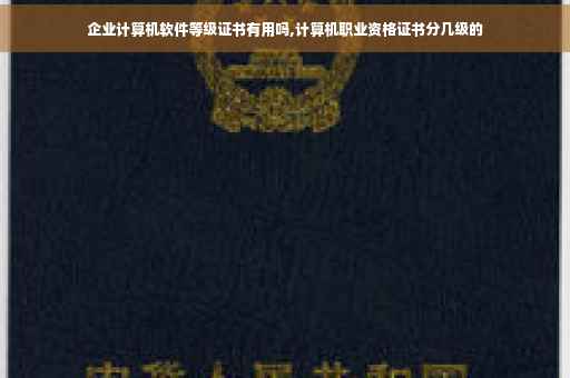 企业计算机软件等级证书有用吗,计算机职业资格证书分几级的