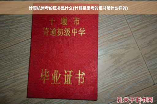 计算机常考的证书是什么(计算机常考的证书是什么样的)