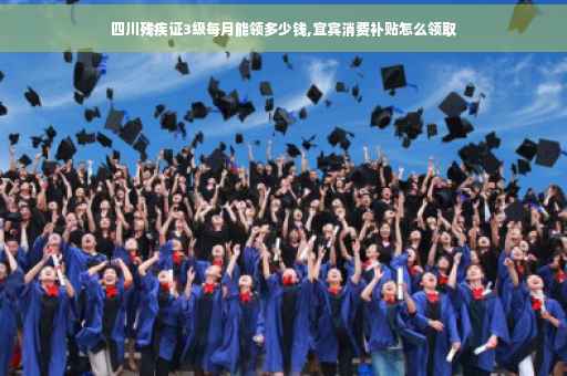 四川残疾证3级每月能领多少钱,宜宾消费补贴怎么领取