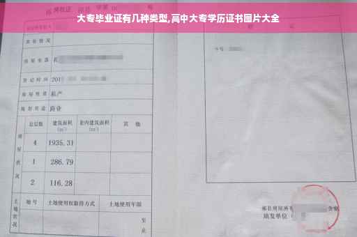 大专毕业证有几种类型,高中大专学历证书图片大全