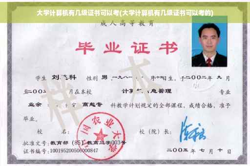 大学计算机有几级证书可以考(大学计算机有几级证书可以考的)