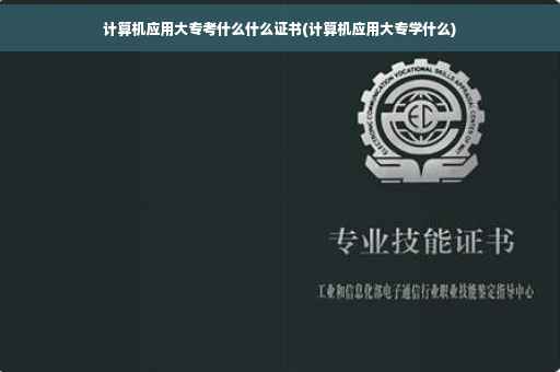 计算机应用大专考什么什么证书(计算机应用大专学什么)