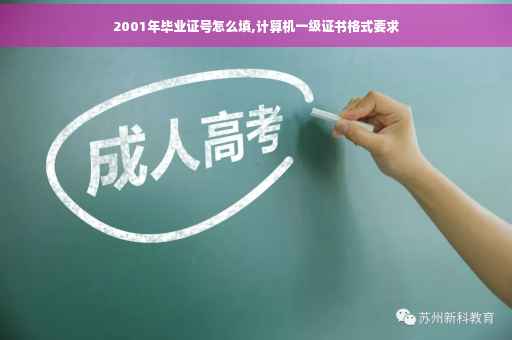 2001年毕业证号怎么填,计算机一级证书格式要求