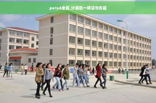 pets4全称,计算机一级证书名称
