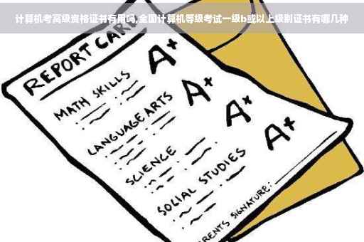 计算机考高级资格证书有用吗,全国计算机等级考试一级b或以上级别证书有哪几种
