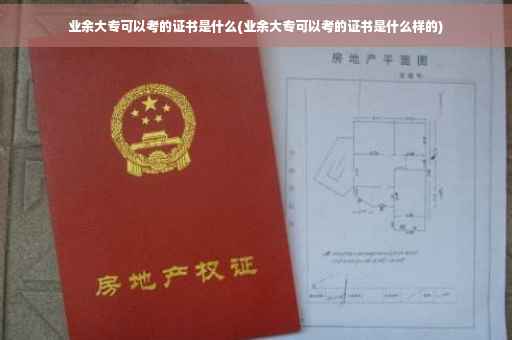 业余大专可以考的证书是什么(业余大专可以考的证书是什么样的)