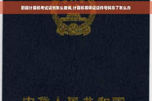 职称计算机考试证书怎么查询,计算机等级证证件号码忘了怎么办