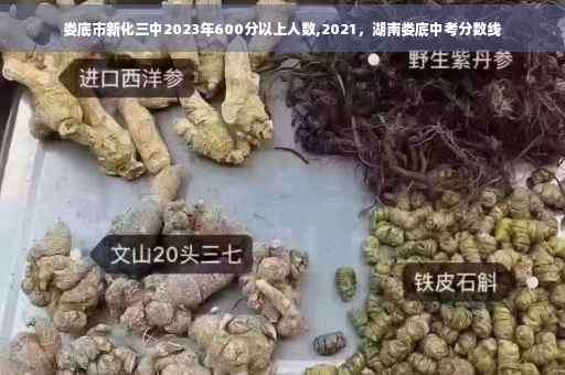 娄底市新化三中2023年600分以上人数,2021，湖南娄底中考分数线